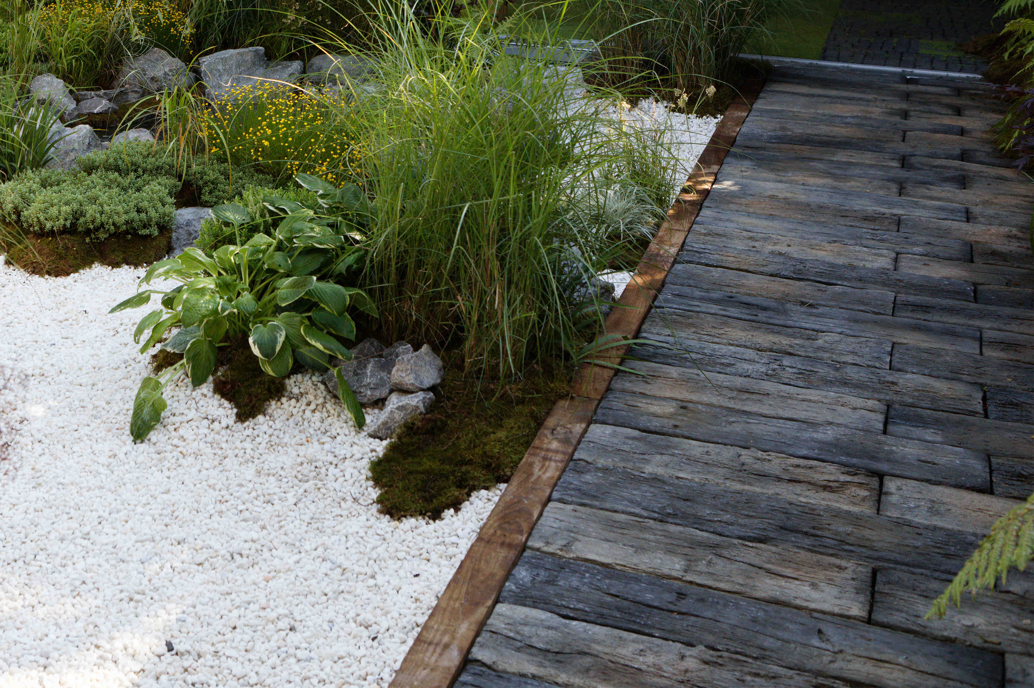 A driftwood garden path