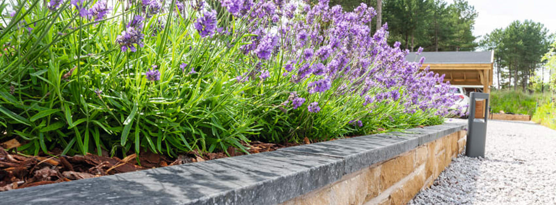 Purple flowers planted with Marshalls Lazaro marble coping running along the top of the wall