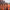 Two members of staff walking together and talking wearing orange Marshalls workwear