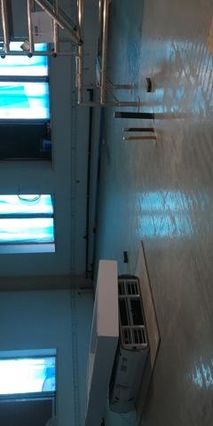 Greenhead College